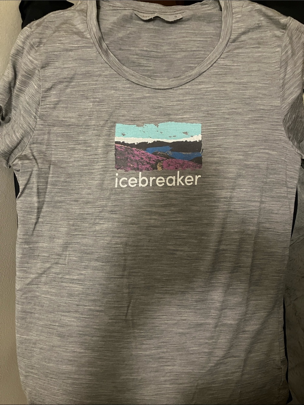 Icebreaker T Shirt